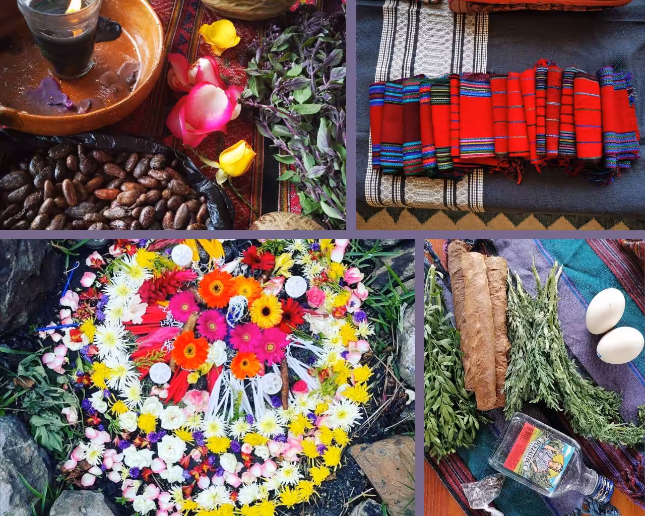 Lebenslauf Mia González Berducido