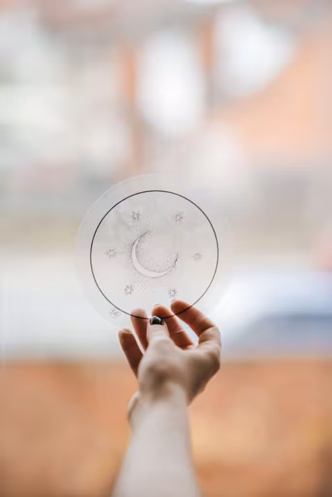 Erfahrung Alleingeburt Akademie Rezension